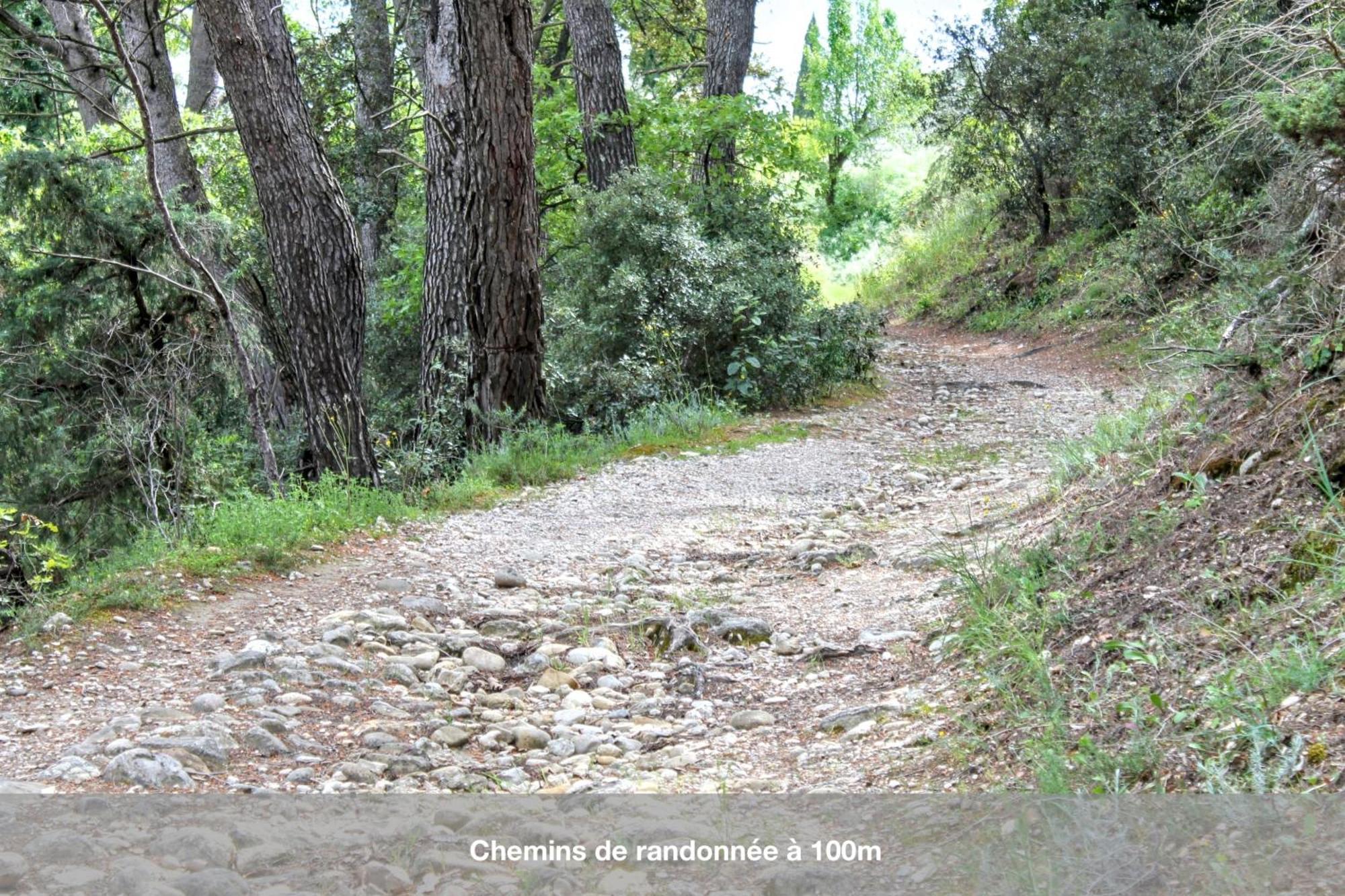 Hébergement de vacances Maison De Charme A Au Milieu Des Vignes